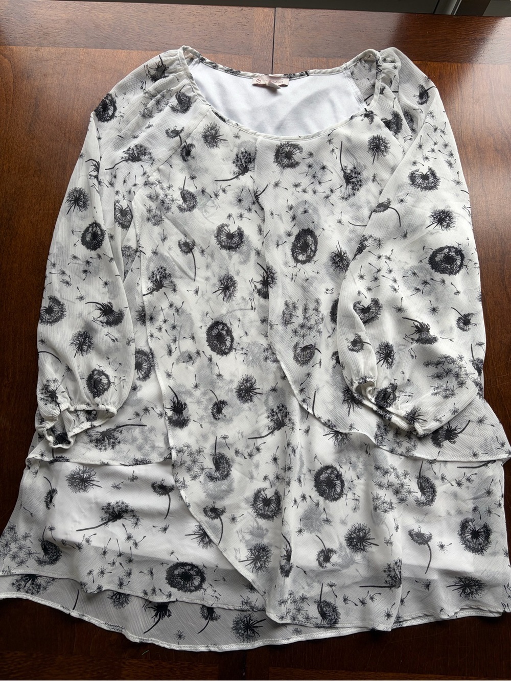 Dressbarn | Dandelion Sheer Blouse - Picture 2 of 12